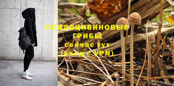 прущая мука Армянск