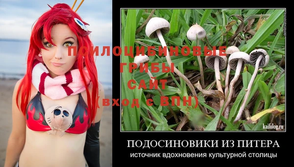 гашик Аркадак