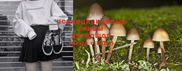 прущая мука Армянск